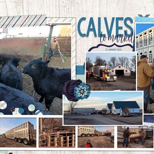 Calves to Market