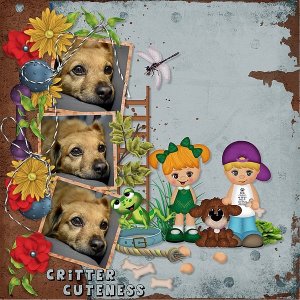 Critter Cuteness