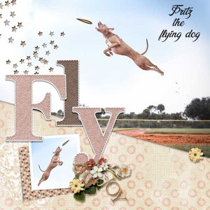 You Can Fly by Carol W