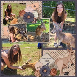 kangaroo