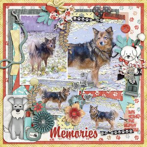 Memories