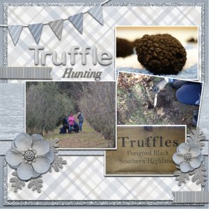 Truffle Hunting