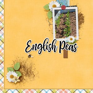 English Peas