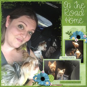 On The Road Home