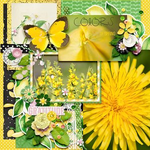 Colors of Spring