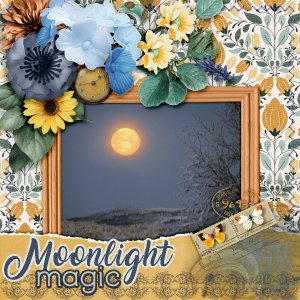 600-adbdesigns-memories-moonlight-pia-02