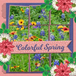Colorful Spring