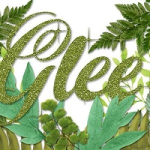 march siggy