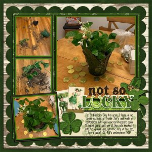 St Pats 19
