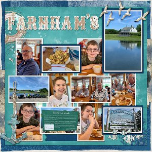 Farnhams 619