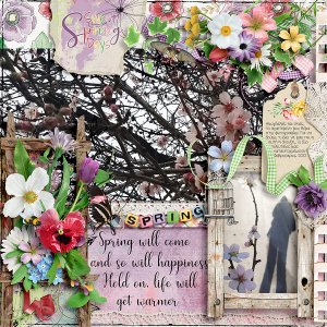 Sweet Spring Days