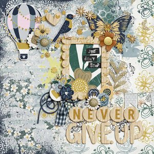 Never Give Up