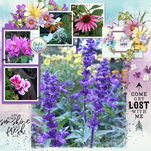 Walk in my garden