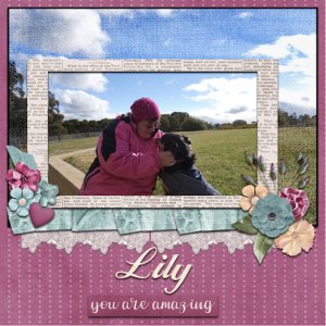 Lily the Truffle Dog
