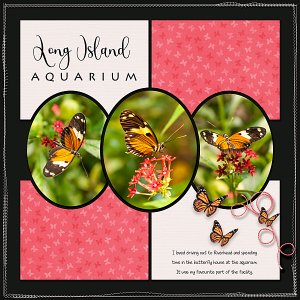 Butterfly House