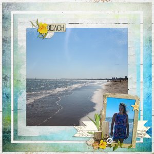 enjoy the beach