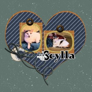 Scylla March Mini Kit