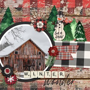 Winter Wonder