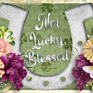 Not lucky, blessed