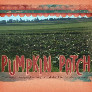 Pumpkin Patch