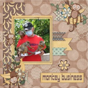 I See Monkeys