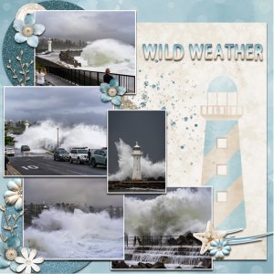 Wild Weather