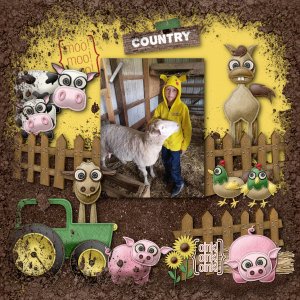 Country