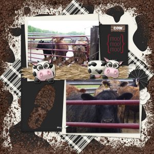 Bull Pen
