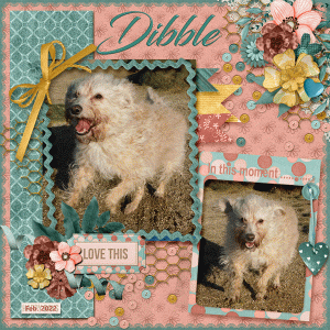 Dibble in motion