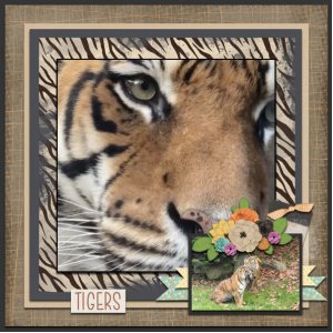 Mogo Zoo