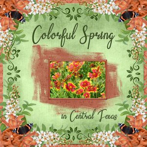 Colorful Spring in Central Texas