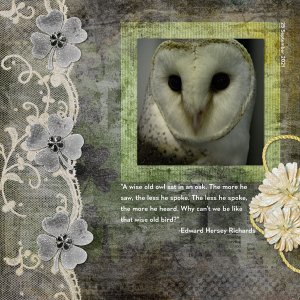 Wise Owl