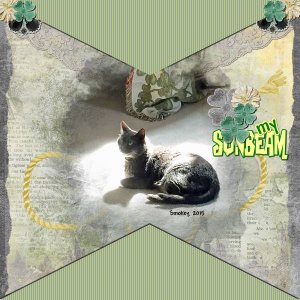 My Sunbeam