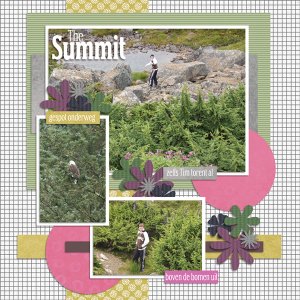 The Summit