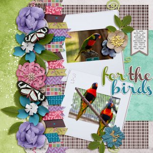 for the birds