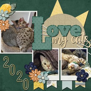 Love My Cats 2020