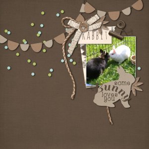 Rabbits