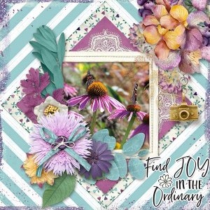 Find Joy In The Ordinary