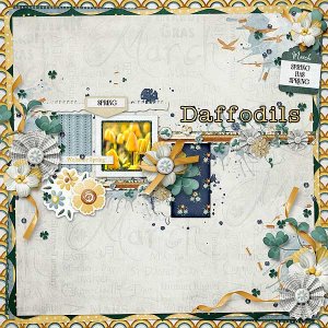 Daffodils