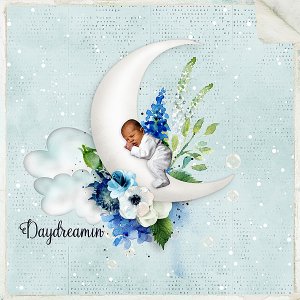 Day Dreamer