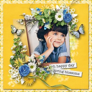 Spring Blossoms