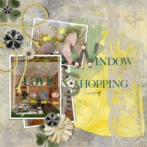 Window Shopping