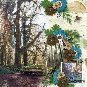 Walk in the Woods