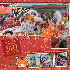 Year of the Tiger