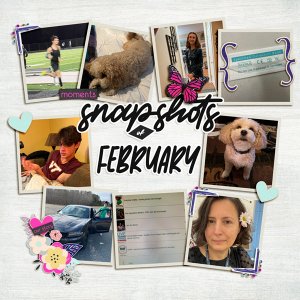 Snapshots-of-February