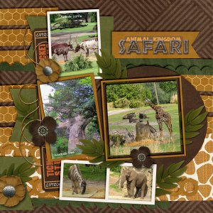 Animal Kingdom Safari