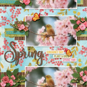 Spring