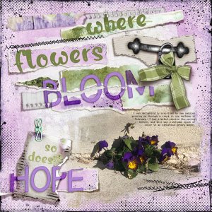 Where Flowers Bloom