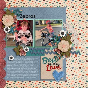 Zebras