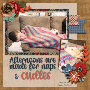 Naps + Cuddles